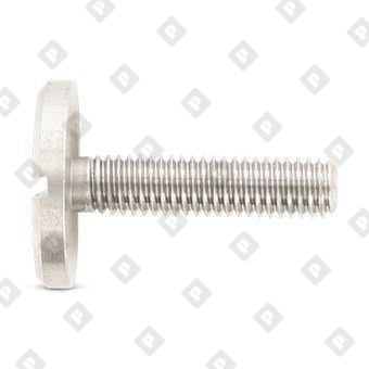DIN 921 AISI 303 M 6X25 - №2